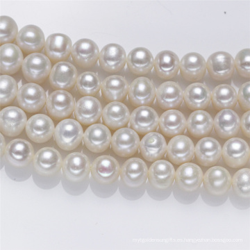 10mm AA Semi Cerca de Ronda Grande Tamaño Real Agua dulce Perlas de perlas de agua dulce Cadena Perla Strand
